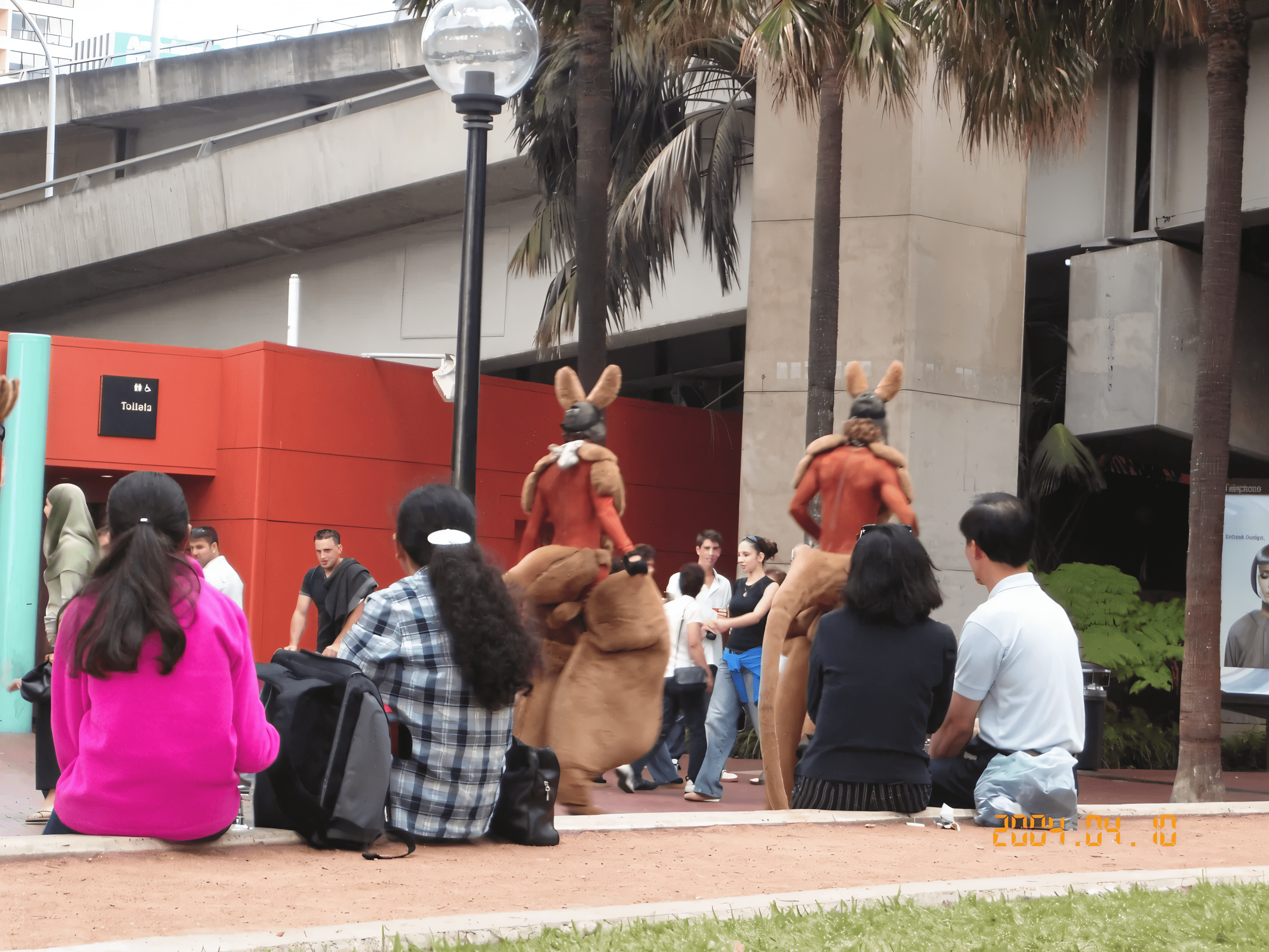People watching kangaroo performers in urban setting.