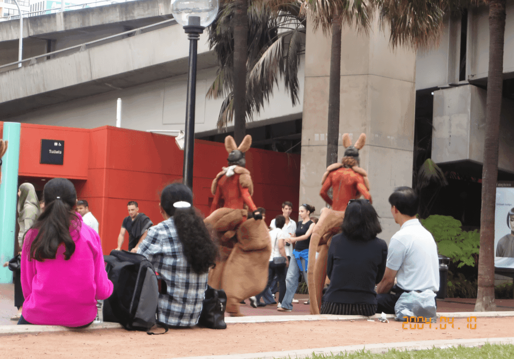 People watching kangaroo performers in urban setting.